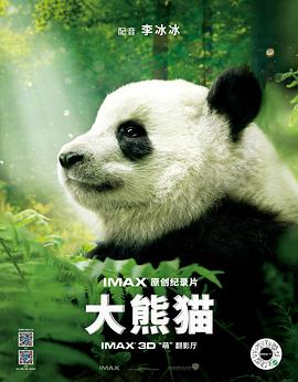大熊猫圆仔5周岁